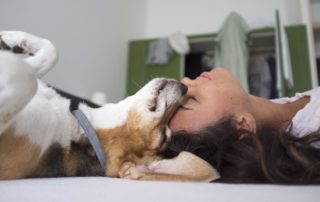 signs your dog loves you