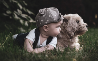 baby and dog laying in the grass