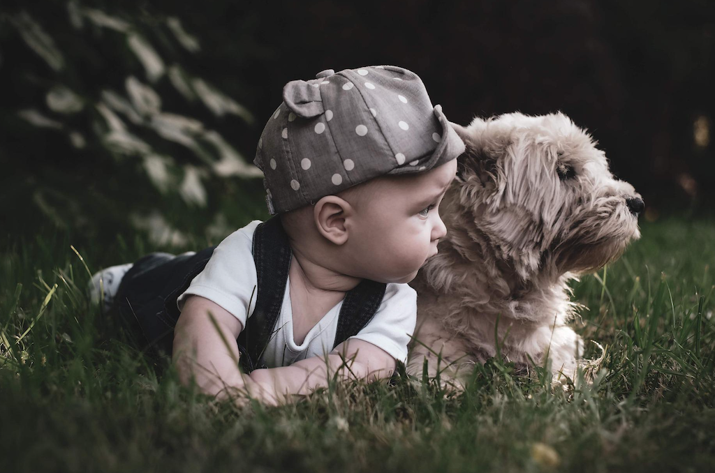 baby and dog laying in the grass